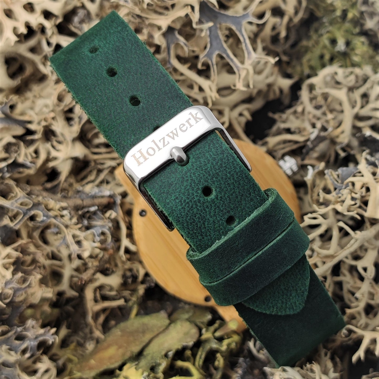 PETIT ARC-EN-CIEL VERT